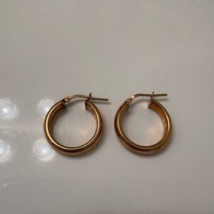 Elegant Gold Hoop Earrings